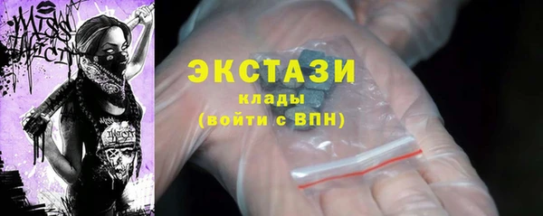 ECSTASY Горняк