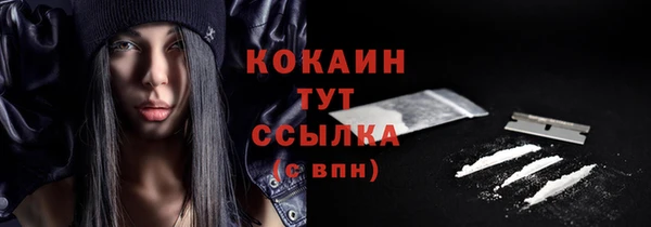 гидра Горно-Алтайск