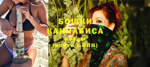 круглые Гусев