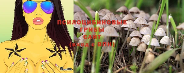 не бодяженный Гусь-Хрустальный