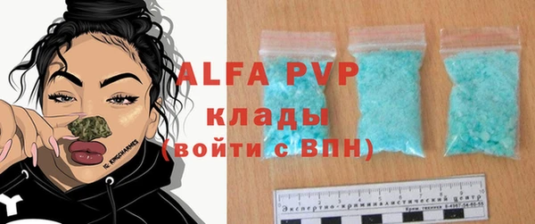 ECSTASY Горняк