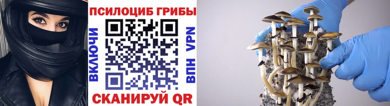 Купить где  Великие Луки  Псилоцибиновые грибы мухоморы 